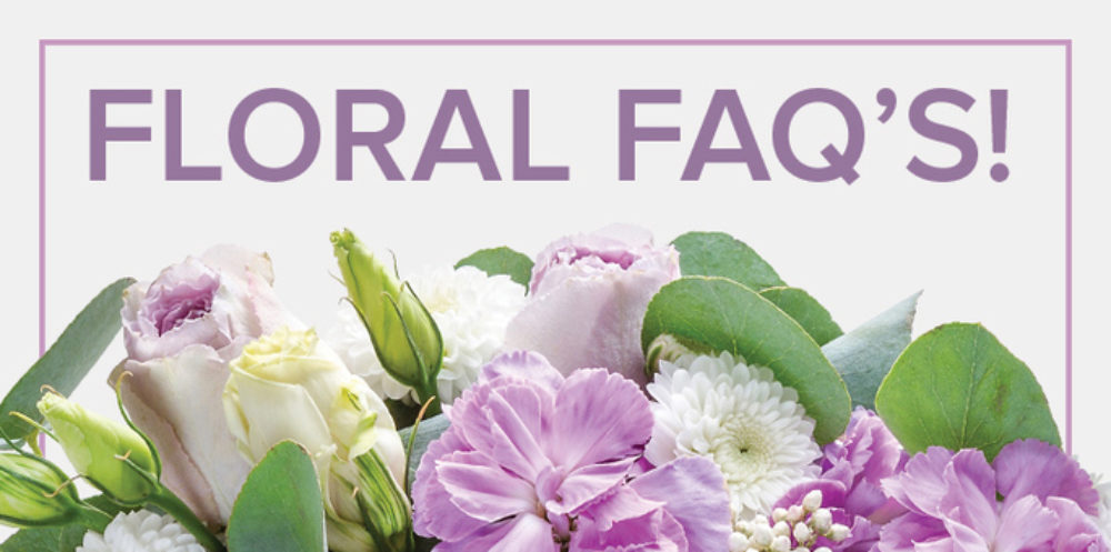 FAQs for you