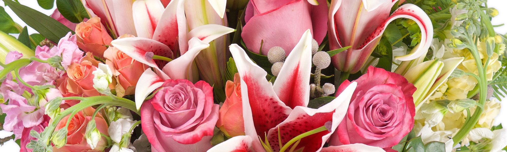 Adrian Durban Florist Your Personal Florist Since 1899 Voted Best
