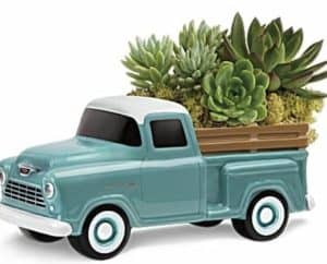 Chevy Pickup Keepsake with Succulents