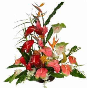 A tropical arrangement is the perfect way to really make an impression! Fresh Anthuriums and lush exotic tropicals with tropical foliage