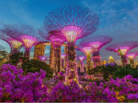 Supertrees at Gardens By the Bay