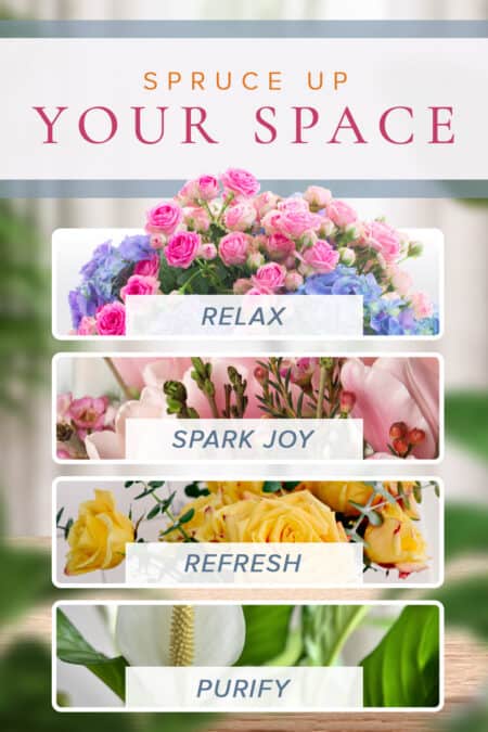 Spruce up your space