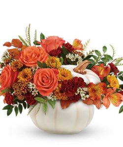 White ceramic pumpkin, this beautiful bursting with color fall mix of roses and mums is a wonderful addition to your autumn gatherings! Orange roses, orange alstroemeria, miniature maroon carnations, and yellow daisy spray chrysanthemums are accented with white waxflower, red cottage yarrow,, brown copper beech and yellow preserved oak leaves. Flowers may vary. Hand delivered by Adrian Durban throughout Greater Cincinnati and Northern Kentucky!